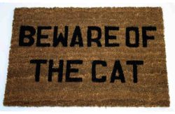 Message Doormat - Beware of the Cat.